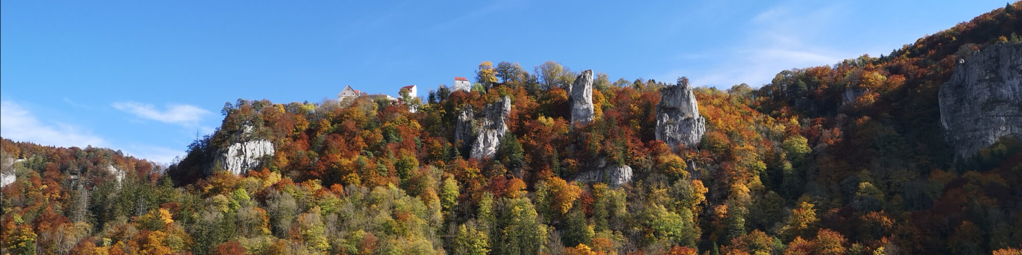 Gebäude und Umgebung Dornbusch