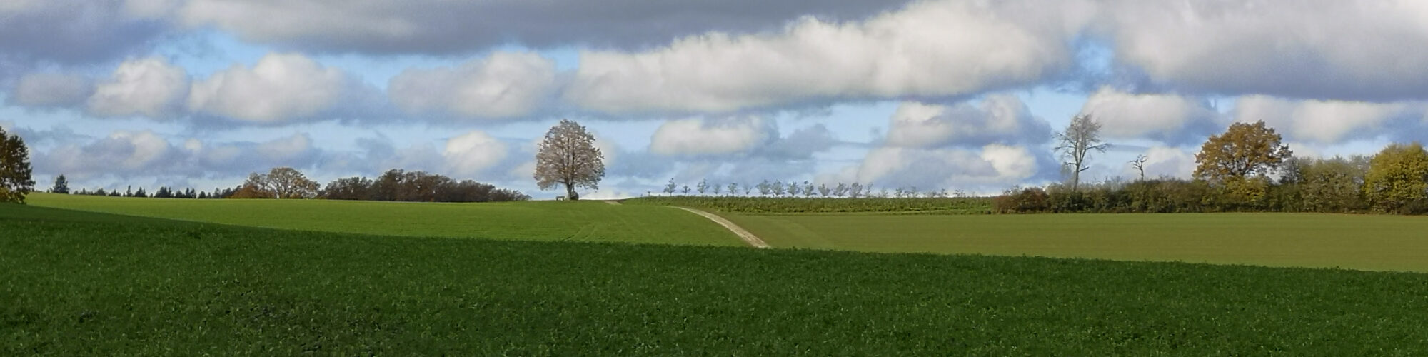Gebäude und Umgebung Dornbusch