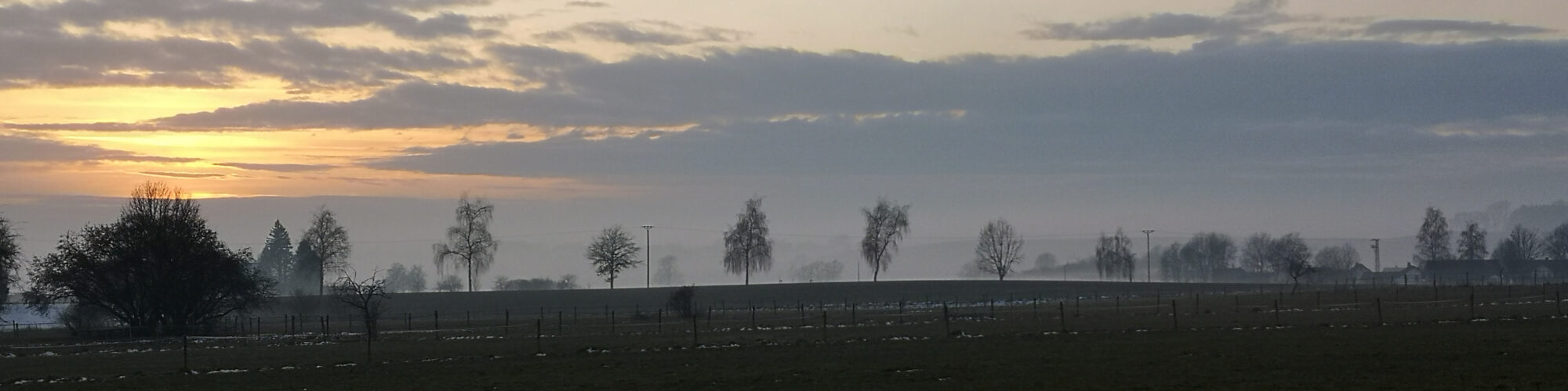 Gebäude und Umgebung Dornbusch